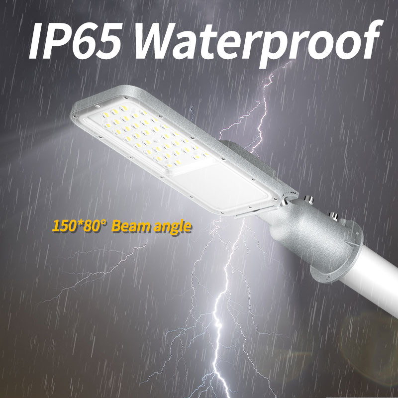 Outdoor Street Light IP65 Outd - огляд і ціна Urban Farming Usa